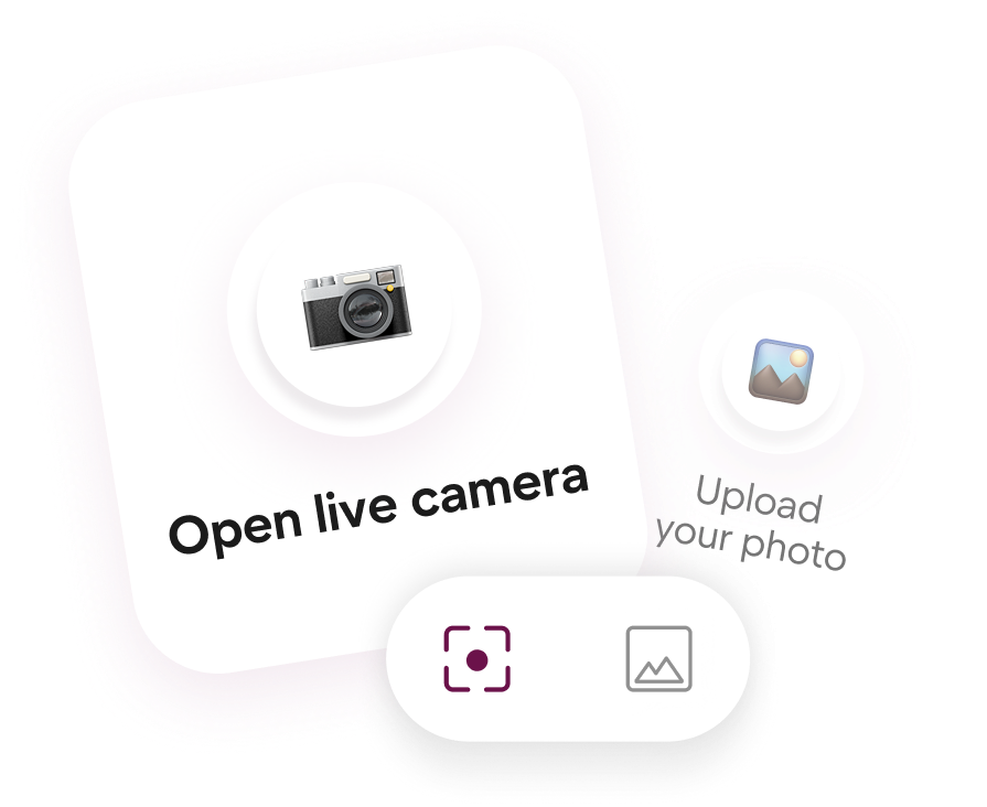 Step 2 - Snap a photo or upload one